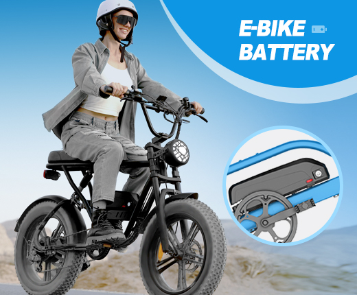 Hailong Lithium Battery for Electric Bicycles