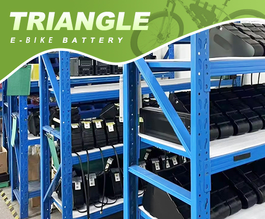 Professional E-Bike Lithium Battery Factory