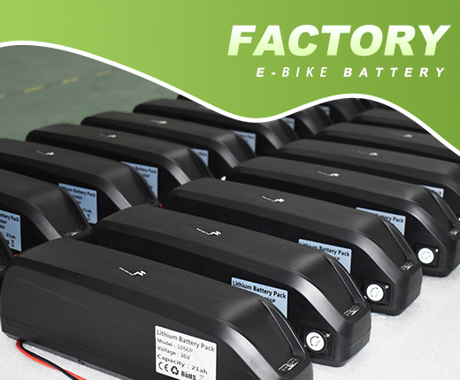 E-bike Battery Factory, One-stop Service