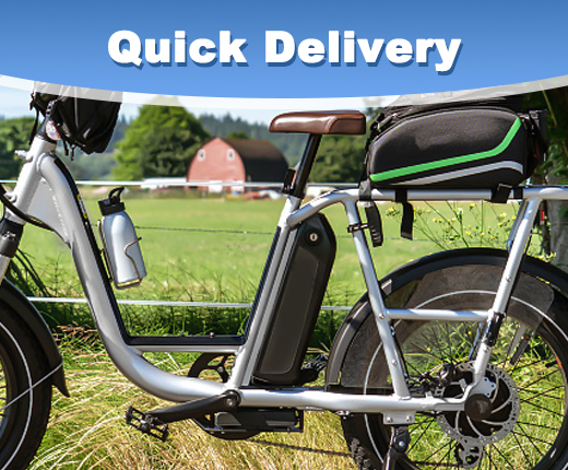 Global Foreign Trade of E-Bike Lithium Battery Factory